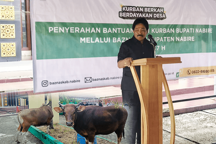 Foto berita: Pemkab Nabire Salurkan 25 Ekor Sapi Kurban Jelang Idul Adha 1447 H