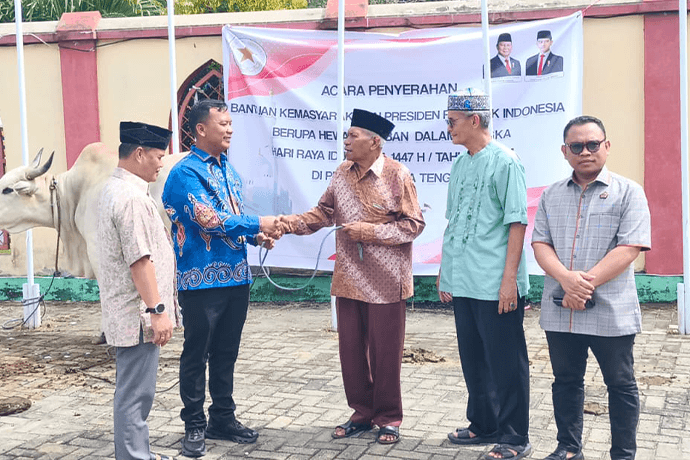 Foto berita: 11 Ekor Sapi Kurban Bantuan Presiden Didistribusikan ke 8 Kabupaten di Papua Tengah